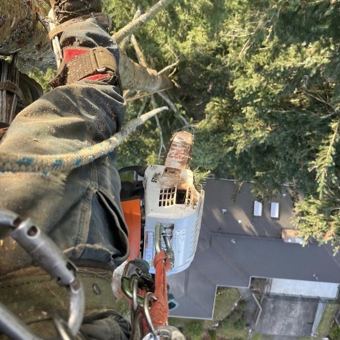 Ivan's Tree Removal Services LLC