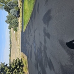 Drive way