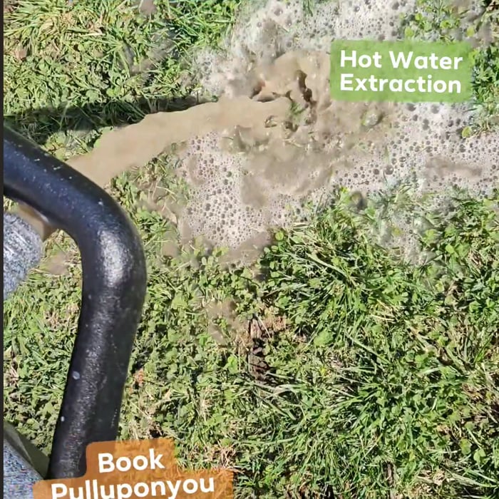 Hot Water Extraction Deep Clean