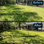 Mowing and yard clean up