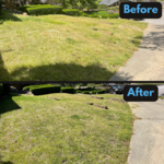 Before and after front yard