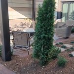 Westin Hotel (Hardscape)