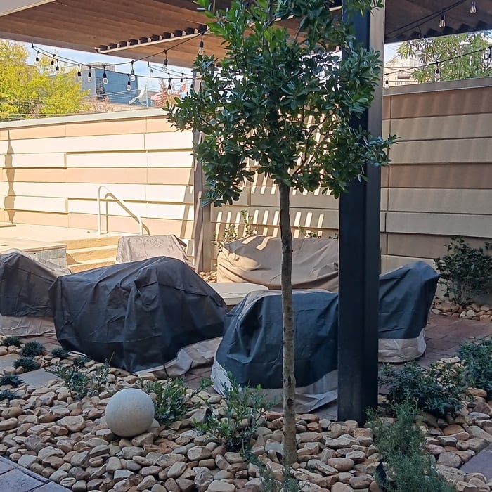 Westin (Hardscape)
