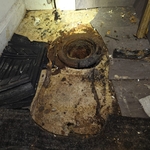 Flange