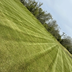 Lawn Care