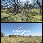 Tree and cross fences demo