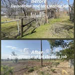 Old structure demolition and trees cleared