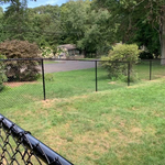 5' Black Chain Link