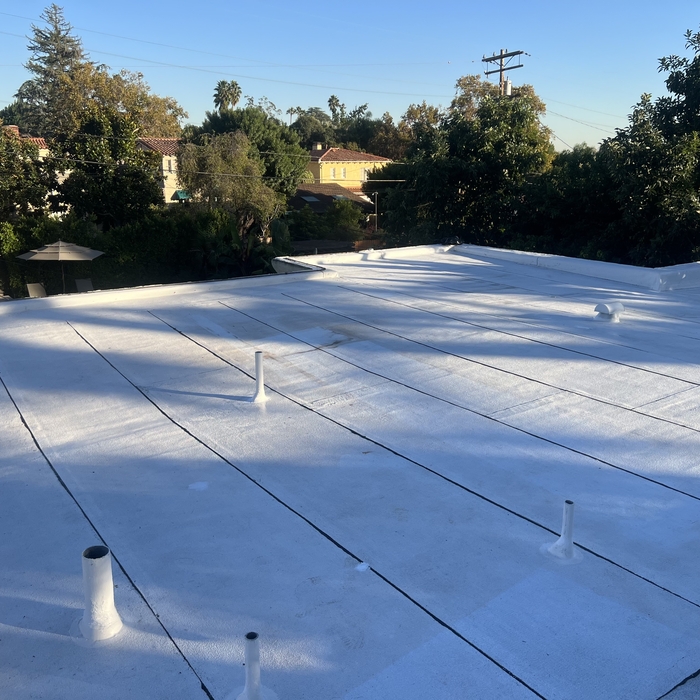 New Flat Roof