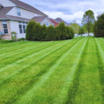 Lawn
