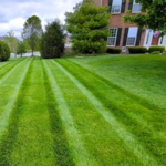 Lawn