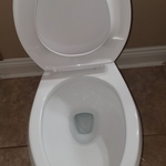 Move In Clean