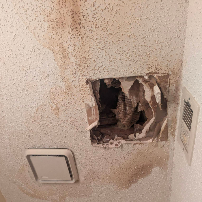 Ceiling Repair