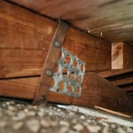 Wind mitigation
