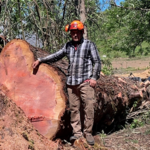 Tree Removal
