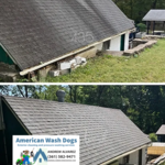 Roof Wash Before and After