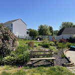 Lawn Care