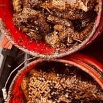 Bee and Honeycomb removal