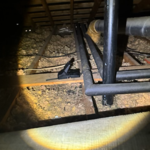 Rodent Control