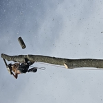 Tree Removal