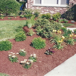New landscape beds
