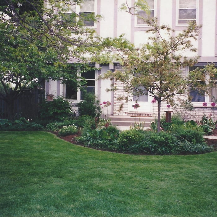 New lawn & landscaping