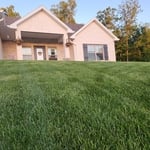 Mow and Trim