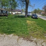 Overgrown yard