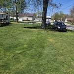 After overgrown yard