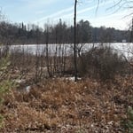 Forestry mulching