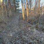 drive way