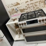 Full kitchen remodel