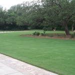 419 Bermuda grass lawn.