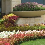 Landscape beds and planter.