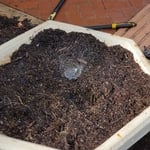 Irrigation modification