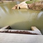 bridge for pond