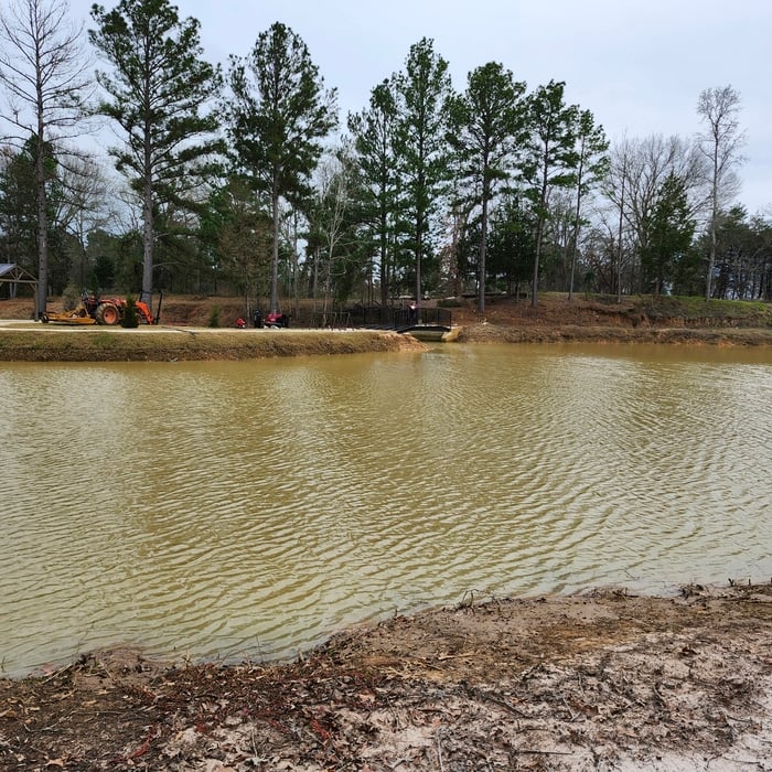 bridge for pond