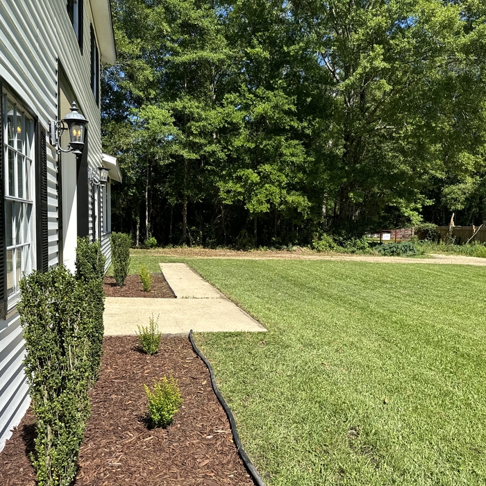 Lawn
