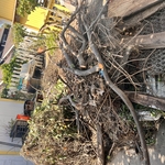 JUNK PILE
