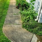 Drive and siding