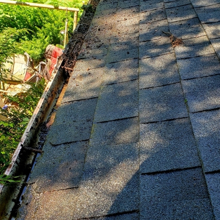 Gutter cleanout