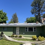 Before Shingles