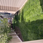 Side Yard - After