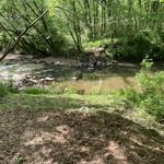 Can finally see the creek!