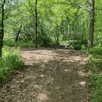 Clearing out a path