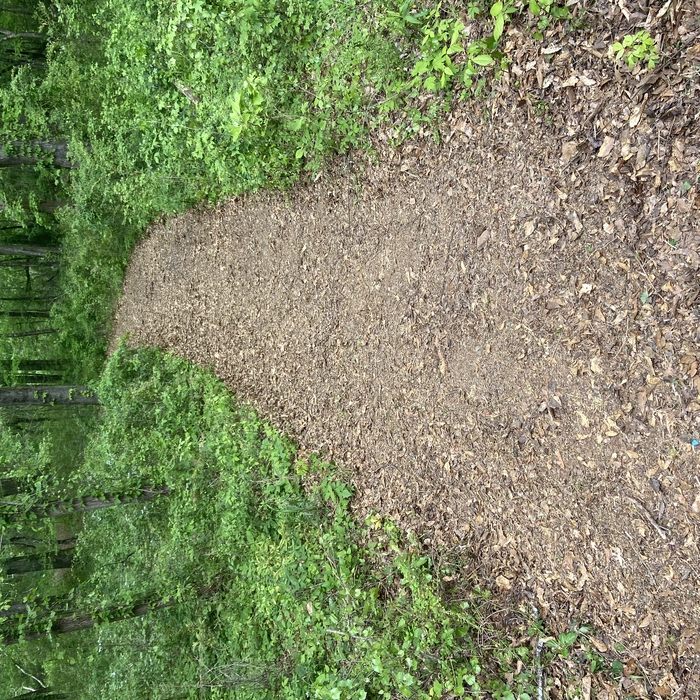 Clearing the path