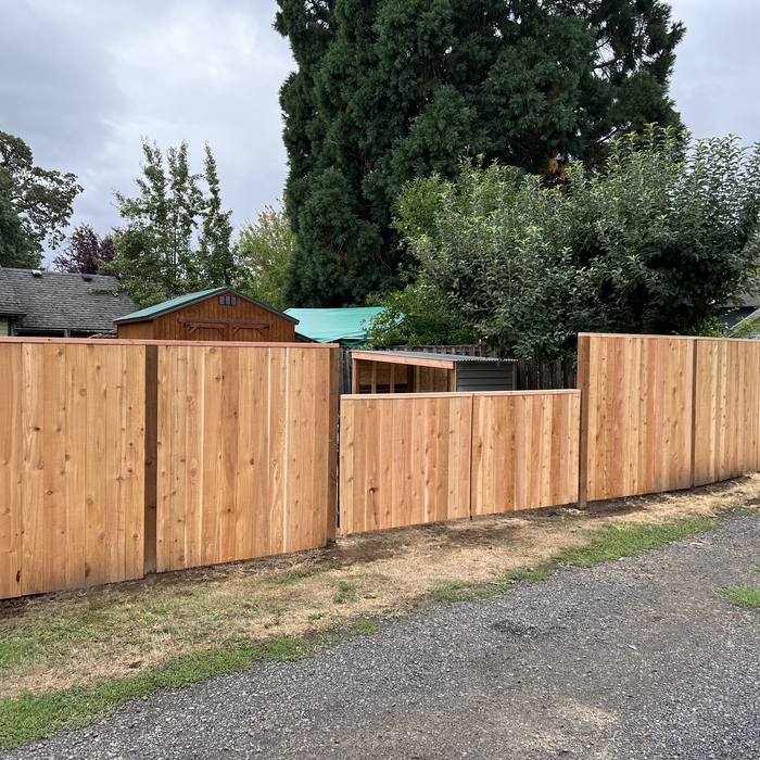 Fence and gate