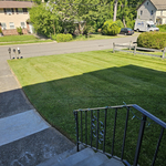 Edging and mowing
