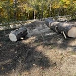 land clearing