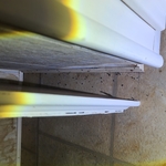 Pest Inspection